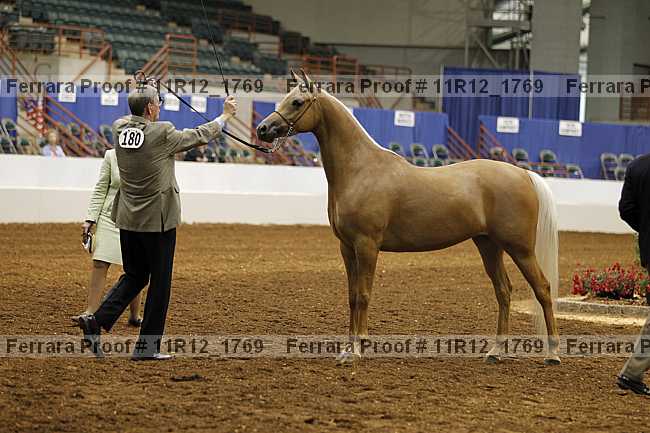 Proof Number 11r12_1769