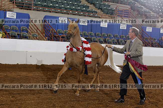 Proof Number 11r12_1785