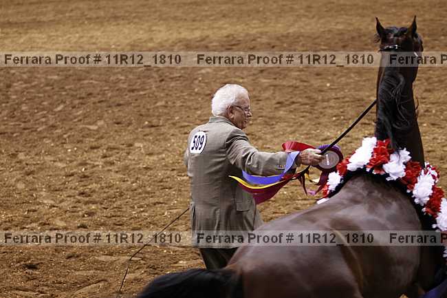 Proof Number 11r12_1810