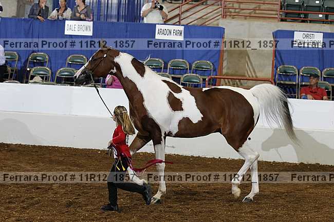 Proof Number 11r12_1857