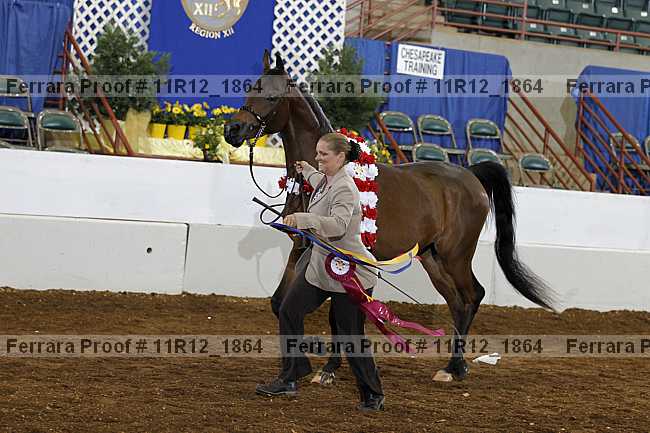 Proof Number 11r12_1864