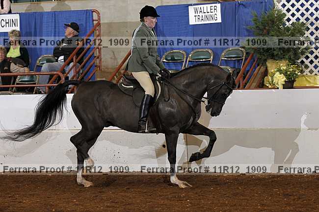 Proof Number 11r12_1909