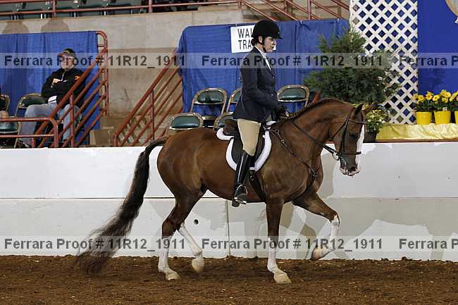Proof Number 11r12_1911