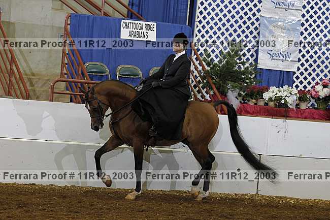 Proof Number 11r12_2003