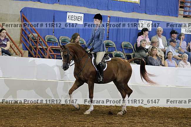 Proof Number 11r12_6147