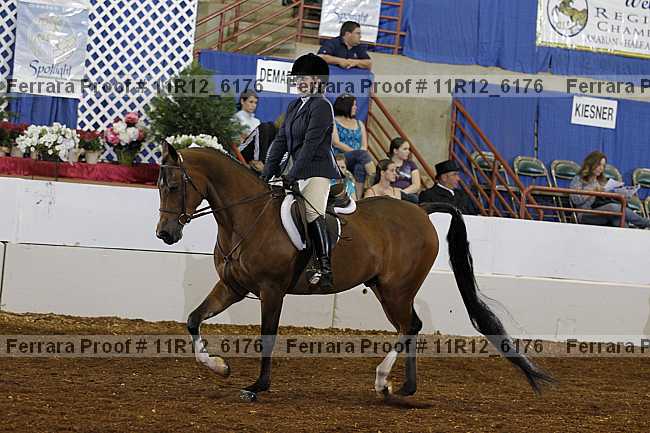 Proof Number 11r12_6176