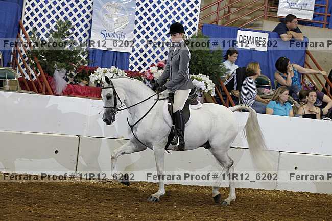 Proof Number 11r12_6202