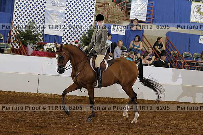 Proof Number 11r12_6205