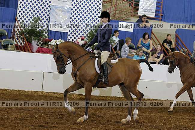 Proof Number 11r12_6206