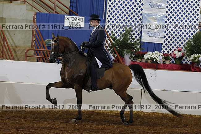 Proof Number 11r12_2080