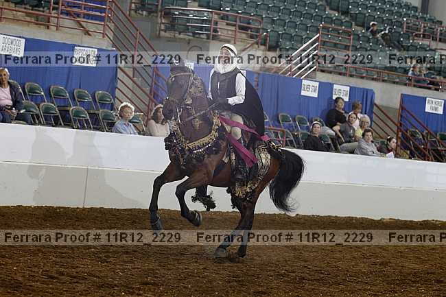 Proof Number 11r12_2229