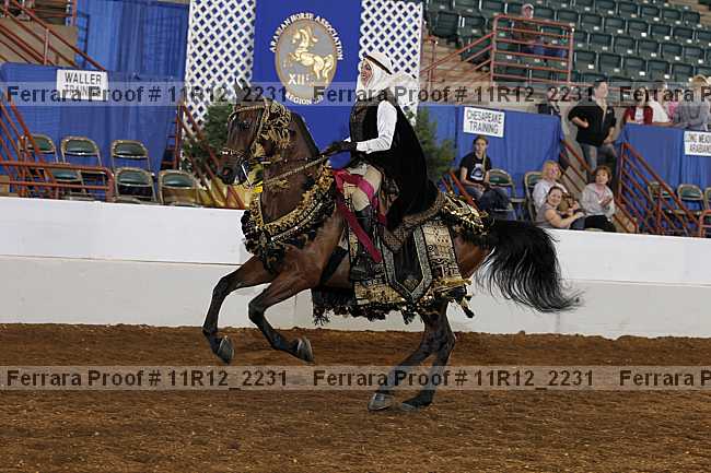 Proof Number 11r12_2231
