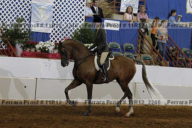 Proof Number 11r12_2246