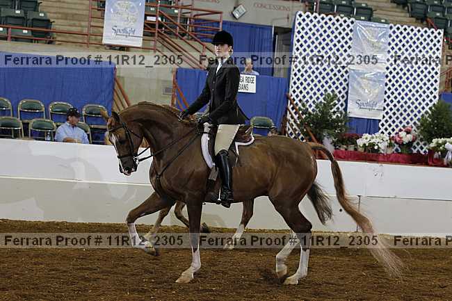Proof Number 11r12_2305