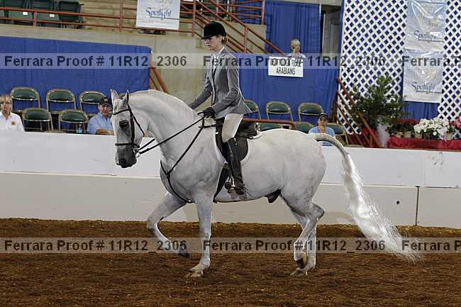 Proof Number 11r12_2306