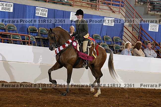 Proof Number 11r12_2361