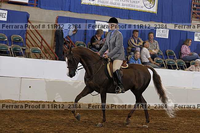 Proof Number 11r12_2384