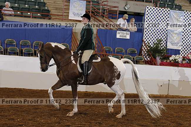 Proof Number 11r12_2387