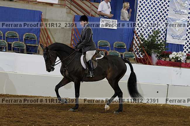 Proof Number 11r12_2391