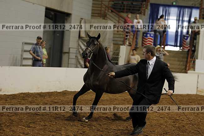 Proof Number 11r12_2474