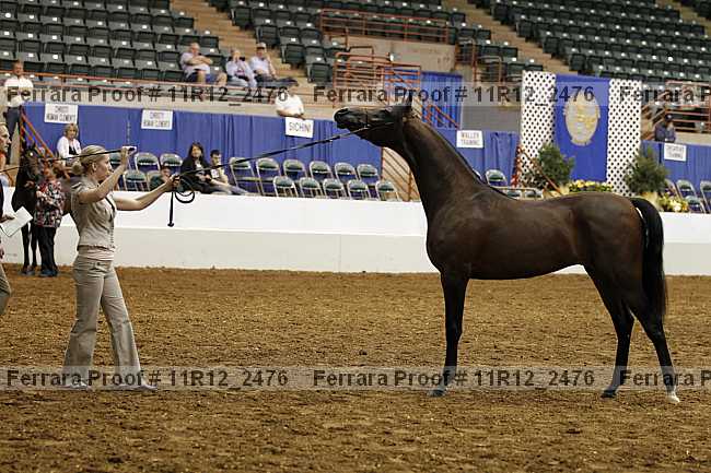 Proof Number 11r12_2476