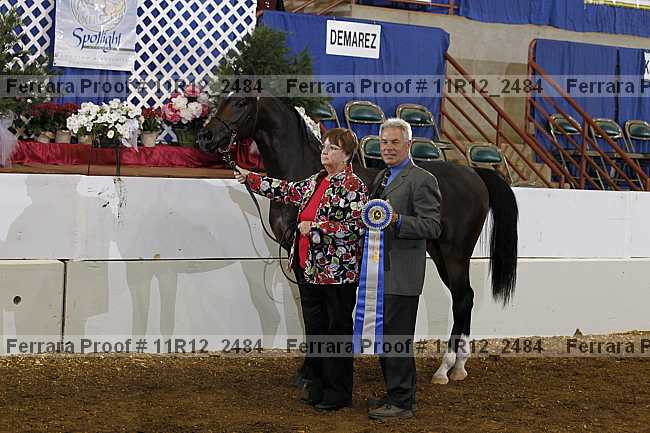 Proof Number 11r12_2484