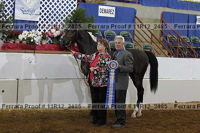 Proof Number 11r12_2485