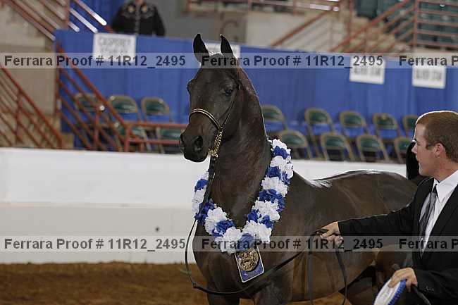 Proof Number 11r12_2495