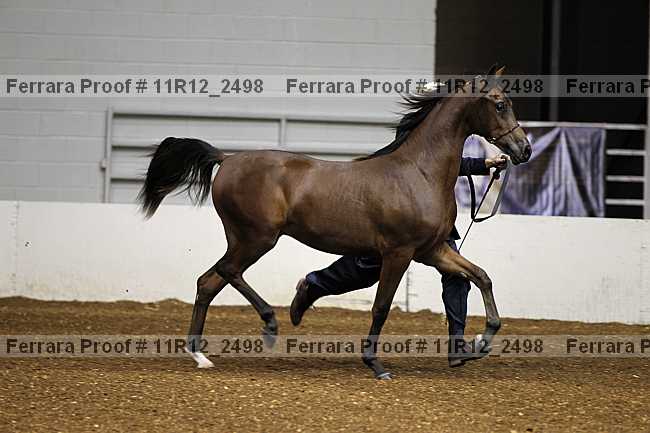 Proof Number 11r12_2498