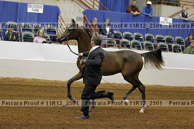 Proof Number 11r12_2501