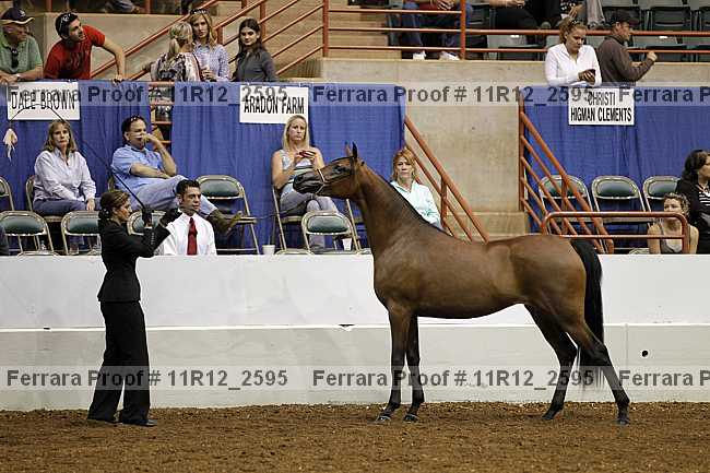 Proof Number 11r12_2595