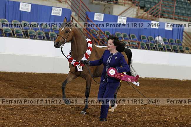 Proof Number 11r12_2649
