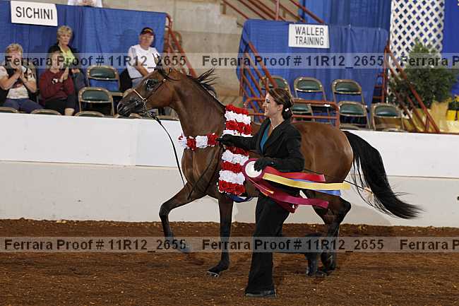 Proof Number 11r12_2655