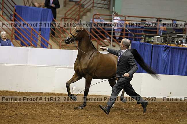 Proof Number 11r12_2662