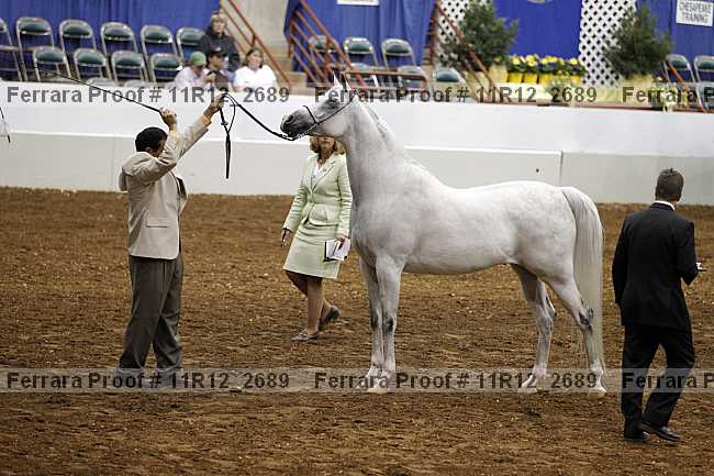 Proof Number 11r12_2689
