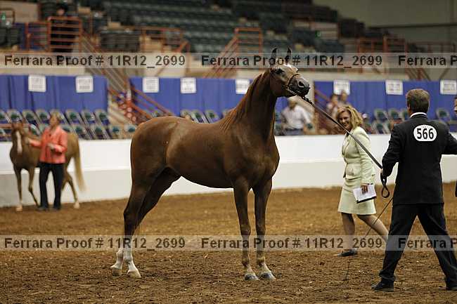 Proof Number 11r12_2699
