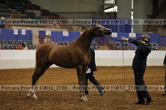 Proof Number 11r12_2700