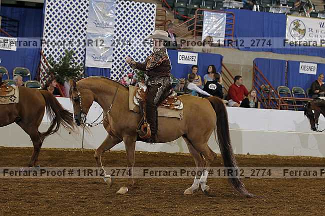 Proof Number 11r12_2774
