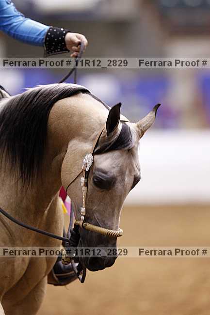 Proof Number 11r12_2829