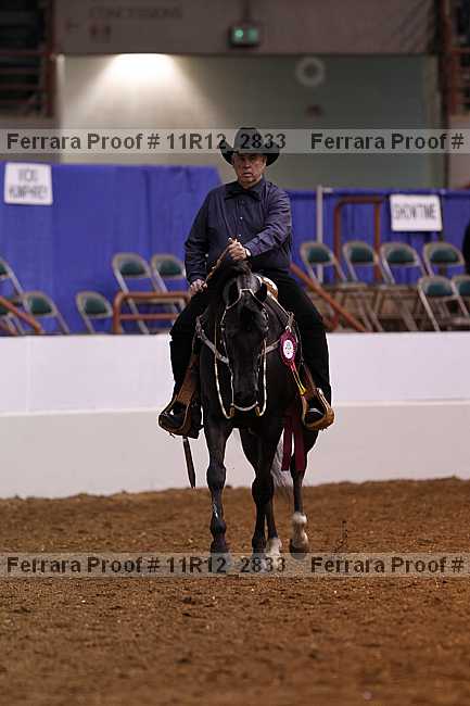 Proof Number 11r12_2833
