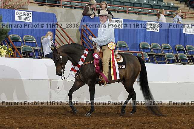 Proof Number 11r12_2838