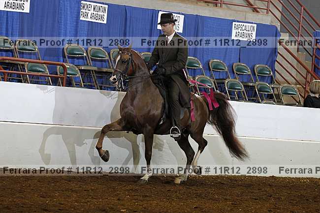 Proof Number 11r12_2898