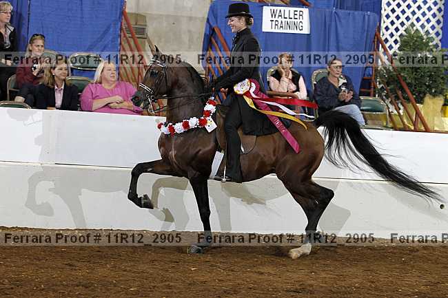 Proof Number 11r12_2905