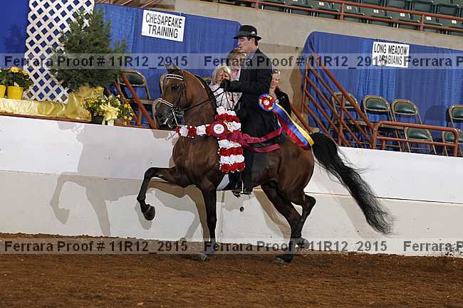 Proof Number 11r12_2915