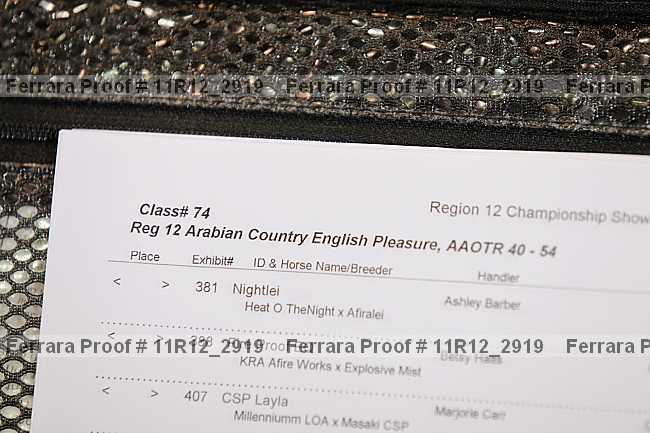 Proof Number 11r12_2919