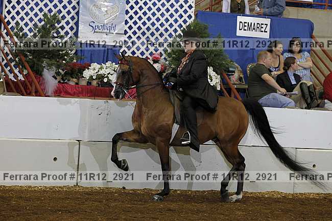 Proof Number 11r12_2921