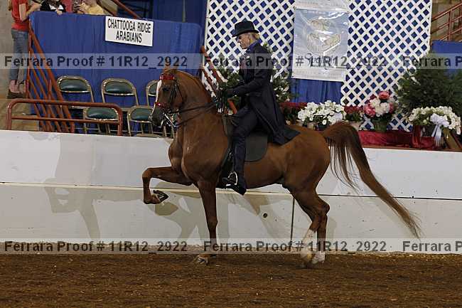 Proof Number 11r12_2922