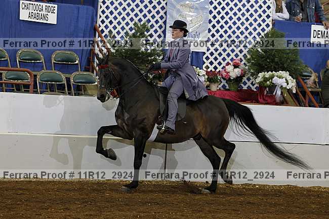 Proof Number 11r12_2924