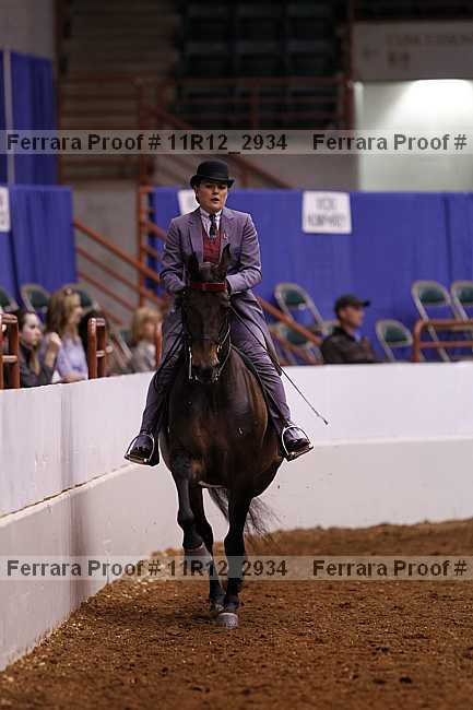 Proof Number 11r12_2934