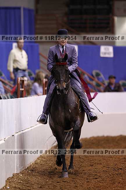 Proof Number 11r12_2954